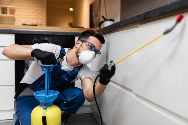 Best Termite Control Services  in Greenville, SC