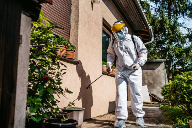 Best Rat Extermination Near Me  in Greenville, SC