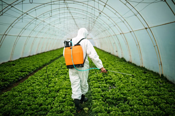 Best Pest Removal Services  in Greenville, SC