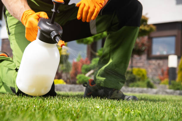 Best Bird Control  in Greenville, SC