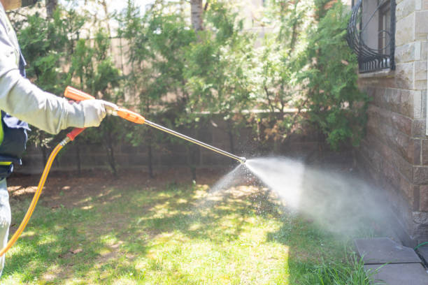 Best Residential Pest Control  in Greenville, SC
