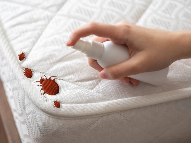 Best Pest Inspection Near Me  in Greenville, SC