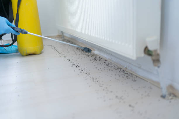 Best Pest Control Near Me  in Greenville, SC