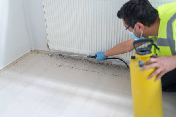 Best Affordable Pest Control Services  in Greenville, SC